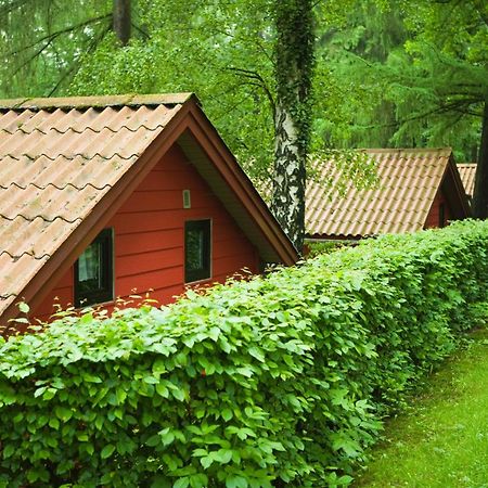 Waldidylle - Bungalows An Der Talsperre Kriebstein Zewnętrze zdjęcie