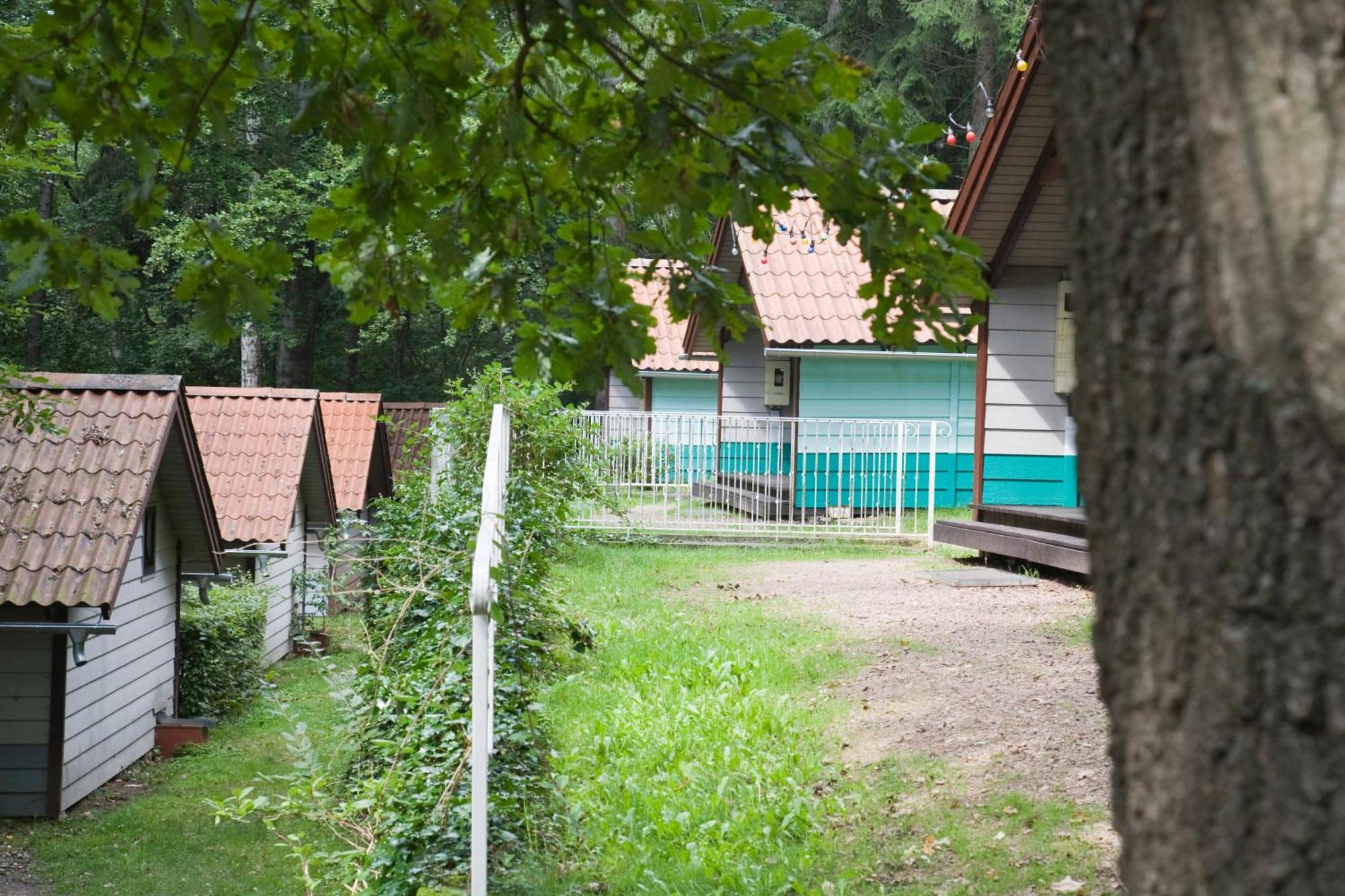 Waldidylle - Bungalows An Der Talsperre Kriebstein Zewnętrze zdjęcie