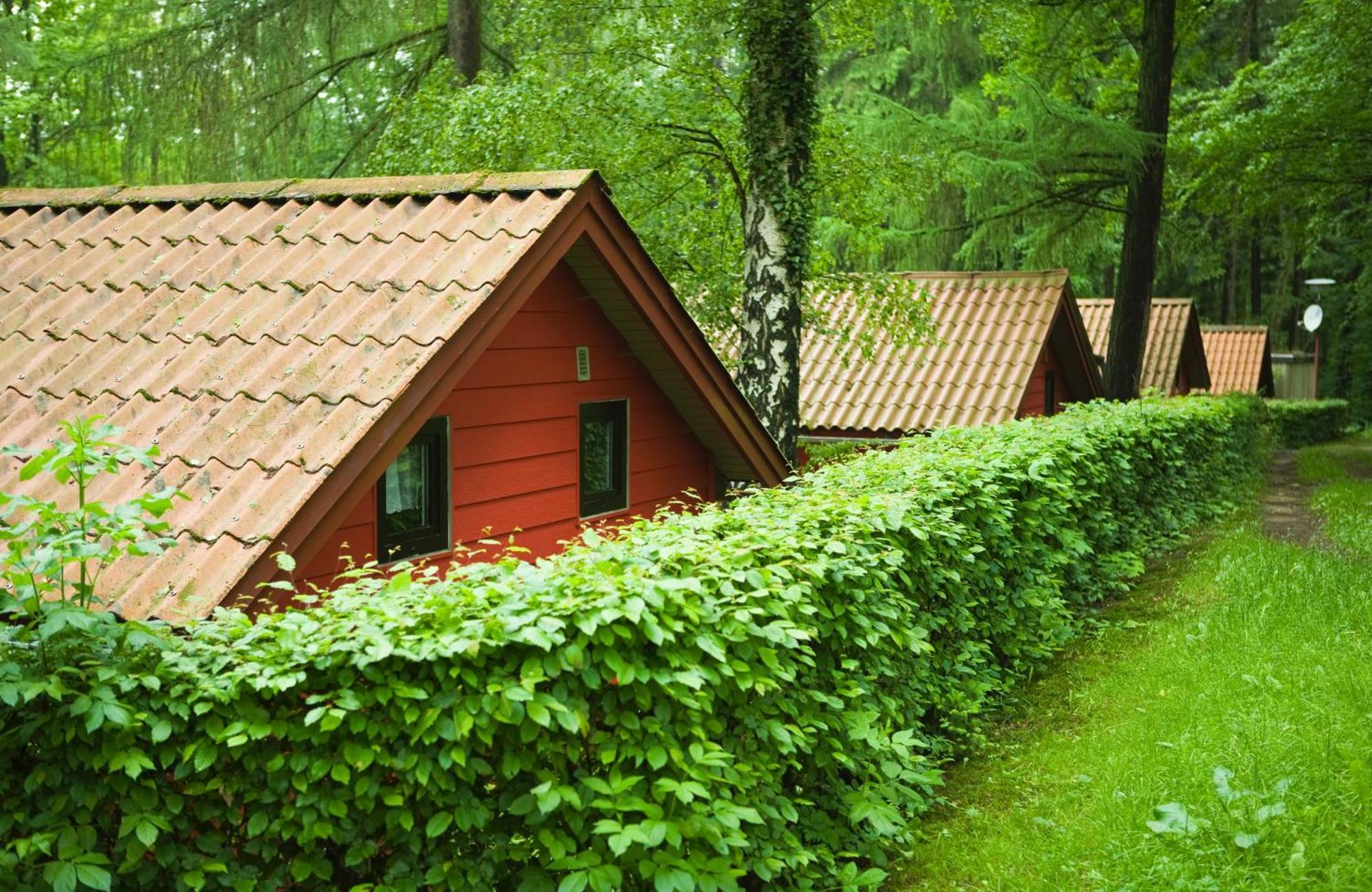 Waldidylle - Bungalows An Der Talsperre Kriebstein Zewnętrze zdjęcie