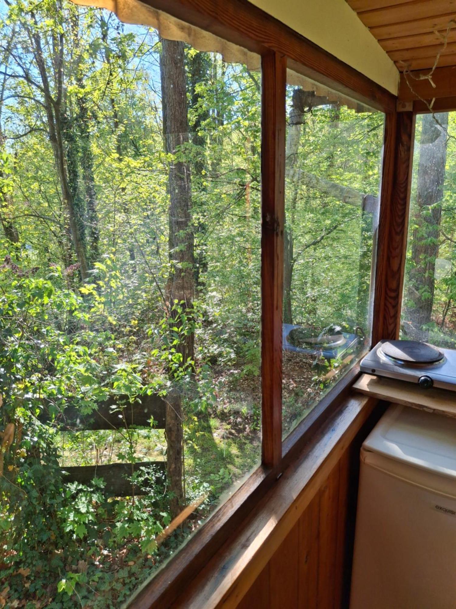 Waldidylle - Bungalows An Der Talsperre Kriebstein Zewnętrze zdjęcie